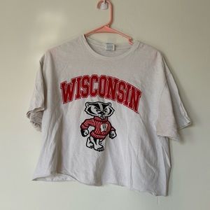 uw madison cropped badger tee